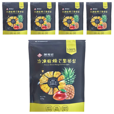 陳稼莊 冷凍乾燥芒果鳳梨, 100g, 5包