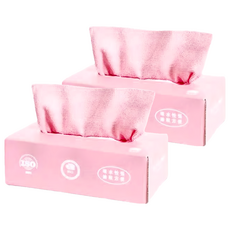 WE CHAMP 抽取式抹布, 乾濕兩用 超細纖維布, 20 x 20cm, 2盒