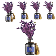 SC優選 無火香薰精油套裝 希爾頓飯店香型, 6個