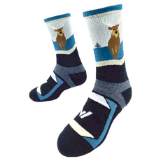 WOAWOA 台灣特有種 羊毛登山襪 M~XL, L, 水鹿 + 黃山雀 + 獼猴, 1組