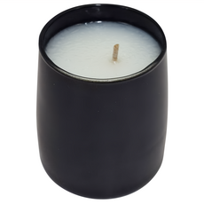 MOSS ST. FRAGRANCES 蠟燭, 雪松鼠尾草, 80g, 1件