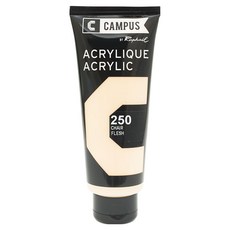 Raphael CAMPUS 康普思 壓克力顏料 N131741 250 膚色, 100ml, 1色
