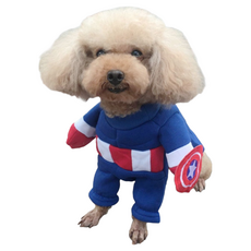 SassyDog 站立裝, 隊長, 1件