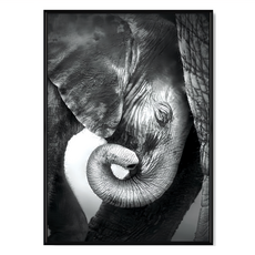 依偎 大象 黑白動物攝影壁掛藝術, 黑色