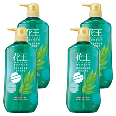 Kao 花王 植萃弱酸洗髮精 酷爽去屑型, 750ml, 4瓶