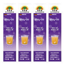 SUNLIFE 森萊富 維他命鎂Mg+B6 橘子口味, 20顆, 80g, 4盒