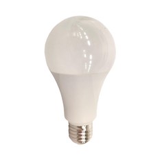 TCP 強凌 節能燈泡 L16030V70W0 16W F3000 E27燈座, 黃光, 10個