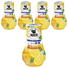 小林製藥 廁所芳香消臭元 檸檬清香 400ml, 大尺寸濾紙, 有效去除空氣臭味, 5個