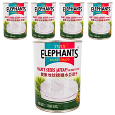 TWIN ELEPHANTS 雙象地球牌 糖水亞達子 泰國製造, 620g, 5罐