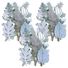 A-ONE 真花壓花 小花包-雪白森林 AA13, 3入, 1個