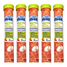 elkos 愛可舒 發泡錠 西柚風味 綜合維他命 + 鎂 Set 17顆, 5支, 102g