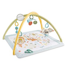 fisher-price 費雪 基礎感官訓練健身器, 0歲以上適用, 1個, Multicolor