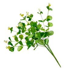 FLORAL M 花藝 仿真尤加利葉花材 居家裝飾, 1個, 綠色