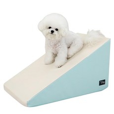 CHOCOPET house 寵物防滑斜坡墊 一般款, 薄荷色, 1個