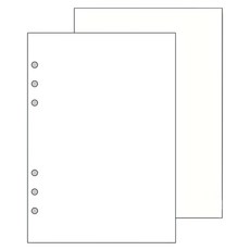 Raymay 藤井 Davinci 空白內頁 DAR296, A5, 20張, 5本