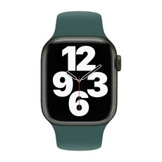 OMG Apple Watch 10 純色矽膠錶帶 46mm, 松針綠, 1個