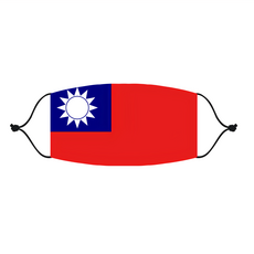 MI MI LEO 台灣製國旗口罩 Set 10個 成人 20x11.5cm 棉質 不織布 聚酯纖維 TC布, 20 x 11.5cm, 國旗款