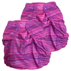 Smart Bottoms 防水尿布兜 成長型 4.5-16公斤 100% PUL防水層聚酯, Highland 粉紅色, 2件