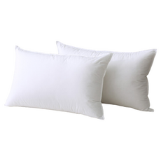 LAMINA 樂米娜 吸濕排汗柔眠枕, 2個