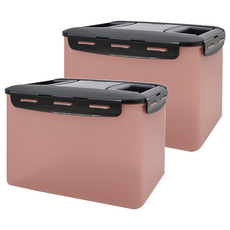 LocknLock 樂扣樂扣 新款泡菜專用密封保鮮盒 粉色, 10L, 2個