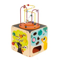 Janod 寶寶異想世界 智能方塊迷宮, FSC認證木材 (櫸木) 鐵, 1個