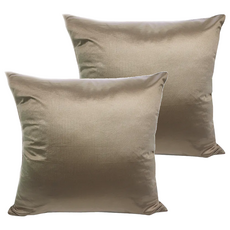 J&N 清麗防潑水抱枕 正方形 填充棉 2入, 棕色