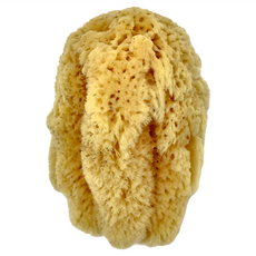希臘海綿 FI455 細質 4.5-5吋 #2456 天然海綿, 黃色, 1個