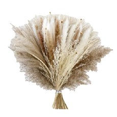 KUIBAO 快豹生活 Loipa 真花乾燥花束, 杏色