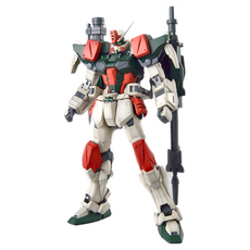BANDAI 1/100 MG GAT-X103 暴風鋼彈 機動戰士 鋼彈 SEED 組裝模型, 1盒