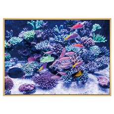 BOLUO GALLERY 菠蘿選畫所 海底世界 魚群環抱 ANSL4610D 掛畫, 木色
