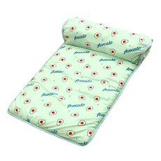 涼感靠枕水果墊 467g, 綠色酪梨