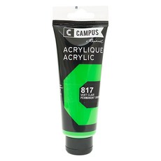 Raphael CAMPUS 康普思 壓克力顏料 N131741 817 永固淺綠, 100ml, 1色