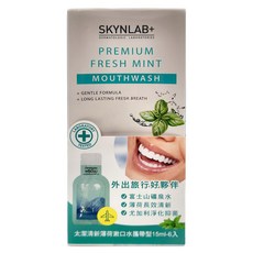 SKYNLAB 太潔 清新薄荷漱口水攜帶型 6入, 15ml, 1組