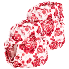 Smart Bottoms Diaper 2.0 布尿布 (成長型) 4.5-26公斤 外層100%PUL防水聚酯 內層55%麻45%有機棉, Stella, 2件