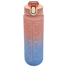 FANCY LIFE 磨砂運動水壺 750ml 漸層粉, 1個