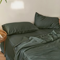 BELLE VIE60支奧地利蘭精天絲 枕頭套 2個