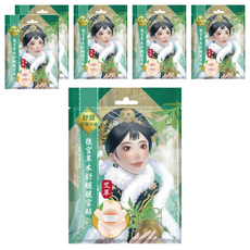 Mdmmd. 明洞國際 後宮草本舒緩暖宮貼 艾草 2片, 6包