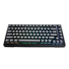 Ducky ProjectD Tinker 75% 客製化機械式鍵盤 RGB 熱插拔 Cherry 青軸 中文 經典黑, PKTI2383AST-CCTWPDOECLAAW1, 1個