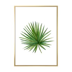花草生活 棕櫚葉畫 金色, 50 x 70cm