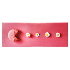 24mama 掛畫 杏仁餅 馬卡龍 甜點 花卉 法國 無框畫, 1個