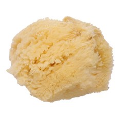 STI 希臘海綿 CO445 4~4.5英吋 24409粗質, 1個