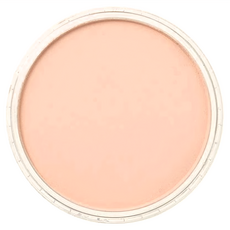 PANPASTEL 粉彩餅，直徑62mm，9ml容量，美國製, 1色, 1個