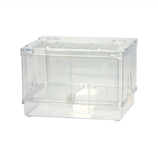 LillipHut 麗利寶 閃耀之星毛坯屋 45CM，高透明玻璃與壓克力材質, 2101, 1個