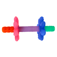 Itzy Ritzy 矽膠固齒咬咬管，食用級矽膠，適用年齡：3個月以上, 粉彩虹, 1支