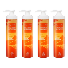 珍朵絲特 龍血求麗頭皮修護洗髮精 500mL 無矽靈配方, 4瓶