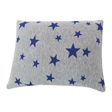 LASSLEY 蕾絲妮 冬夏兩用護頸枕, 藍星映灰, 1個