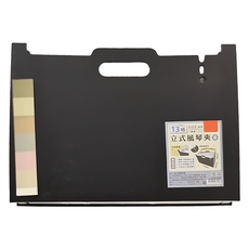 CCHING 青青文具 13格立式風琴夾，標籤分類清晰方便，磨砂封面防水耐髒，自由伸縮量活用，手提設計輕鬆攜帶, 黑色, 1個