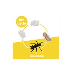 POKI生態遊戲系列 遊戲組 仿真模型 韓國KC安全認證, 螞蟻生態 多色, 1組