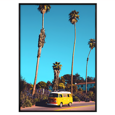 菠蘿選畫所 加州Sunny Side, 黑色