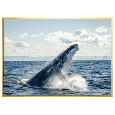 菠蘿選畫所 大翅鯨飛躍掛畫 59.4 x 42cm 金色框｜居家裝飾 藝術掛畫, 金色